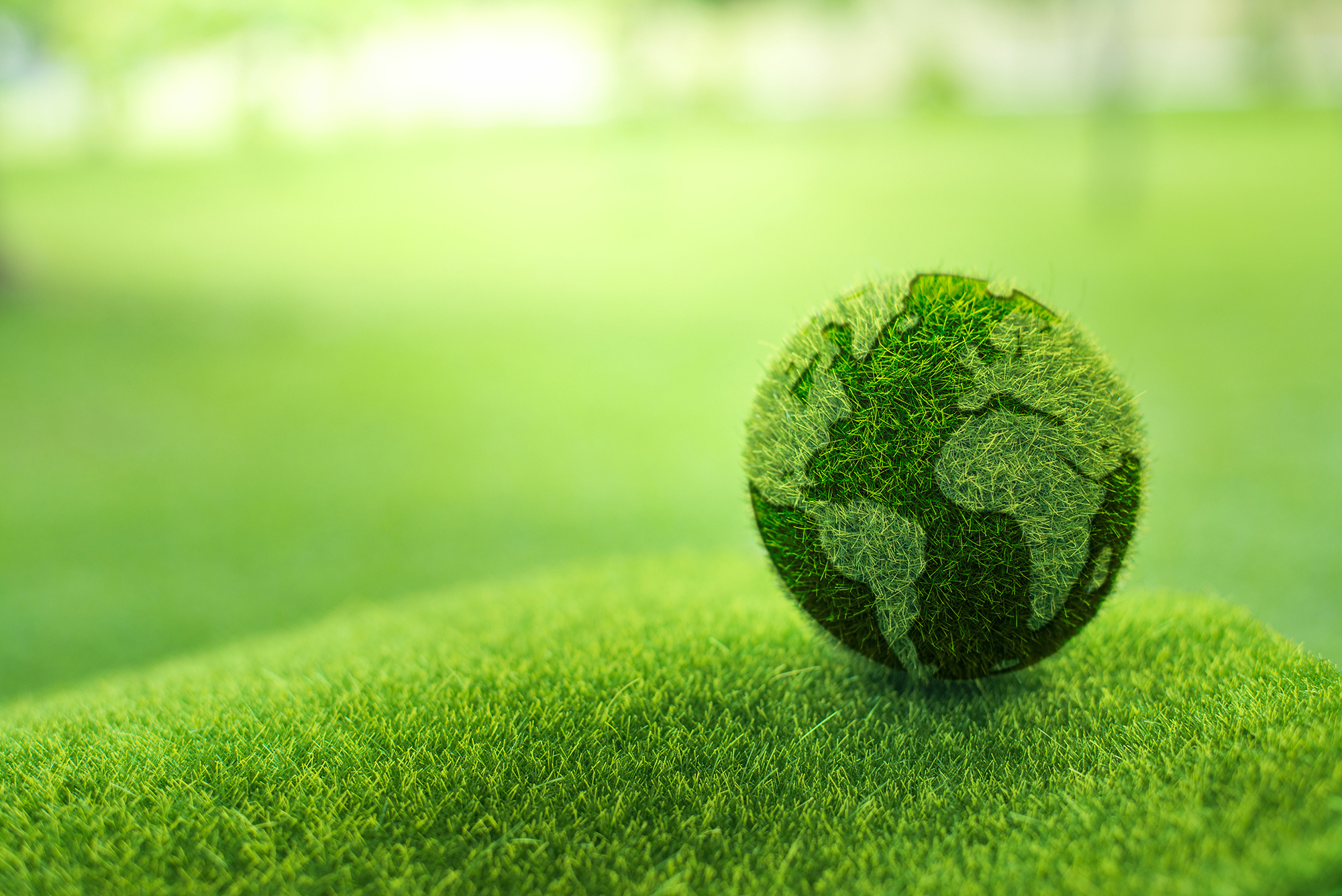 A globe made of grass sitting on a grassy surface, symbolizing environmental sustainability and nature.